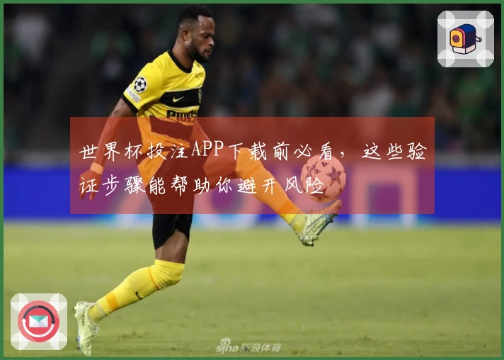 世界杯投注APP下载前必看，这些验证步骤能帮助你避开风险