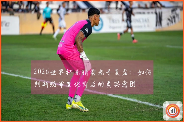 2026世界杯竞猜前老手复盘：如何判断赔率变化背后的真实意图