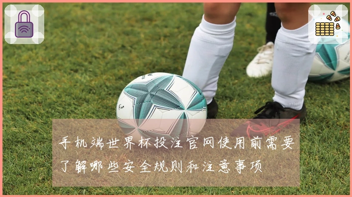 手机端世界杯投注官网使用前需要了解哪些安全规则和注意事项
