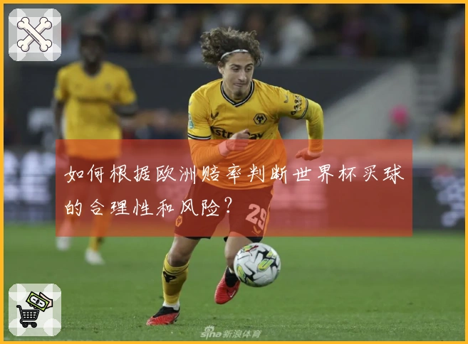 如何根据欧洲赔率判断世界杯买球的合理性和风险？