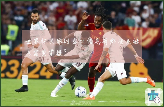 世界杯买球时盘口信息有哪些关键点需要掌握？