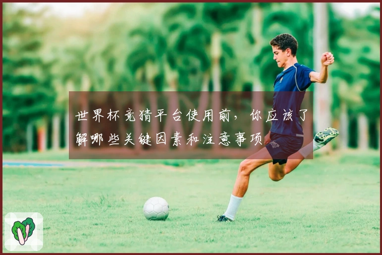 世界杯竞猜平台使用前，你应该了解哪些关键因素和注意事项