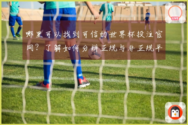哪里可以找到可信的世界杯投注官网？了解如何分辨正规与非正规平台的要点