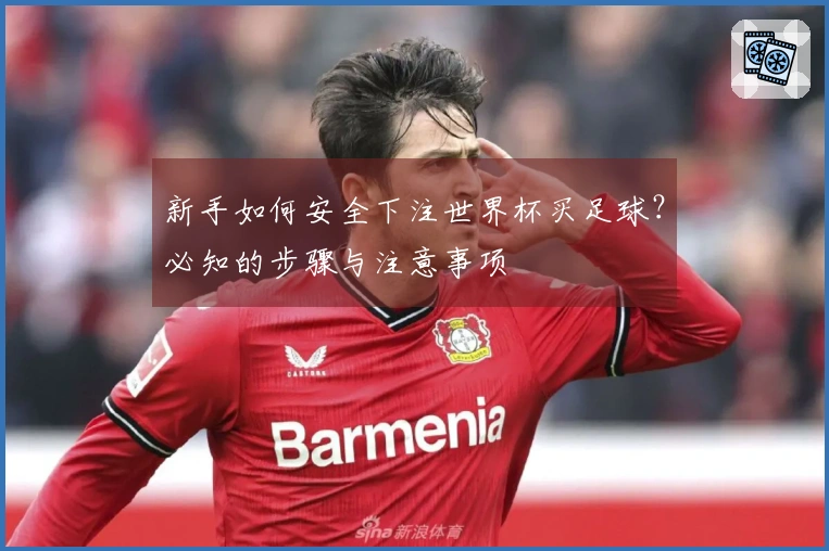 新手如何安全下注世界杯买足球？必知的步骤与注意事项