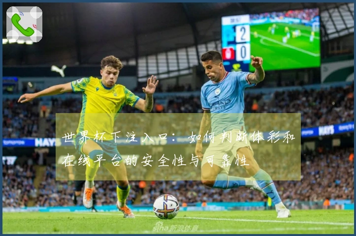 世界杯下注入口：如何判断体彩和在线平台的安全性与可靠性