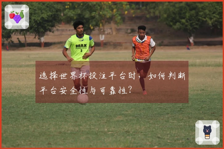 选择世界杯投注平台时，如何判断平台安全性与可靠性？