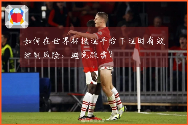 如何在世界杯投注平台下注时有效控制风险，避免踩雷？