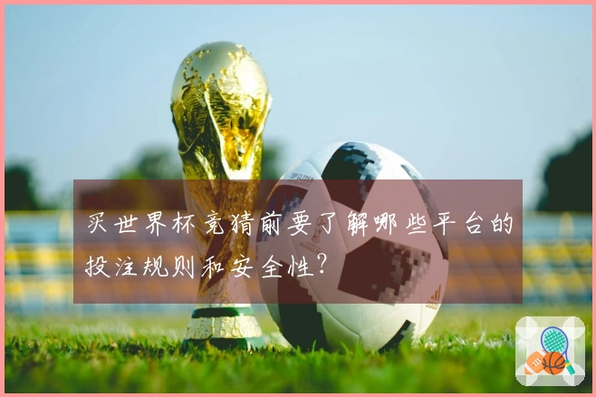 买世界杯竞猜前要了解哪些平台的投注规则和安全性？