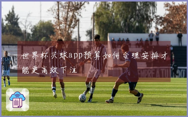 世界杯买球app预算如何合理安排才能更高效下注