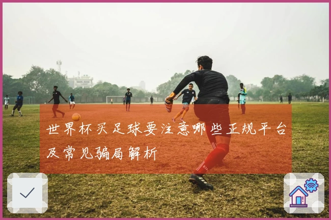世界杯买足球要注意哪些正规平台及常见骗局解析