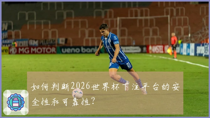 如何判断2026世界杯下注平台的安全性和可靠性？
