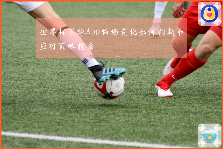 世界杯买球App临场变化如何判断和应对策略指南