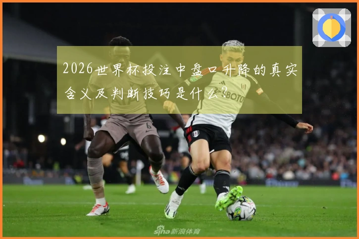 2026世界杯投注中盘口升降的真实含义及判断技巧是什么？
