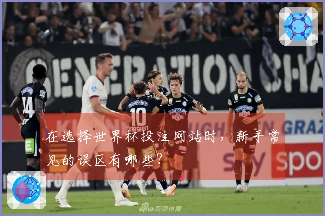 在选择世界杯投注网站时，新手常见的误区有哪些？