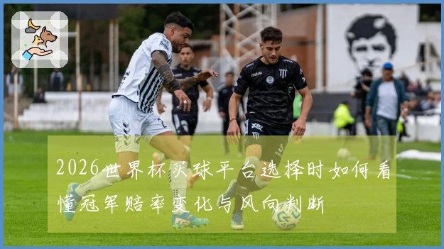2026世界杯买球平台选择时如何看懂冠军赔率变化与风向判断