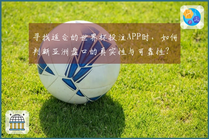 寻找适合的世界杯投注APP时，如何判断亚洲盘口的真实性与可靠性？