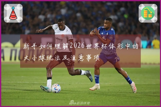 新手如何理解2026世界杯体彩中的大小球玩法及注意事项