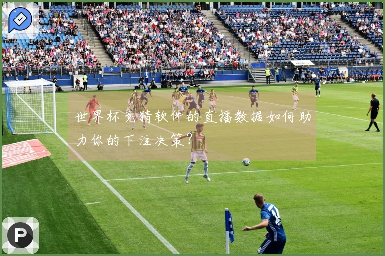 世界杯竞猜软件的直播数据如何助力你的下注决策？