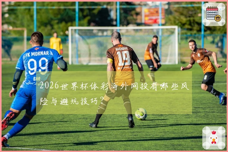 2026世界杯体彩海外网投有哪些风险与避坑技巧？