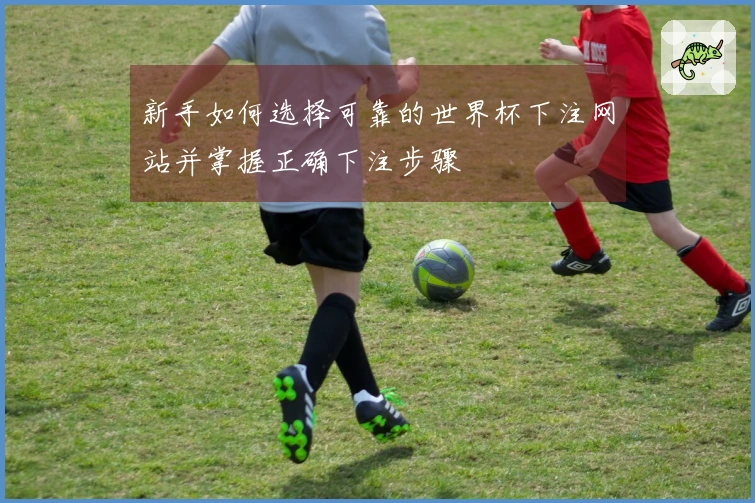 新手如何选择可靠的世界杯下注网站并掌握正确下注步骤