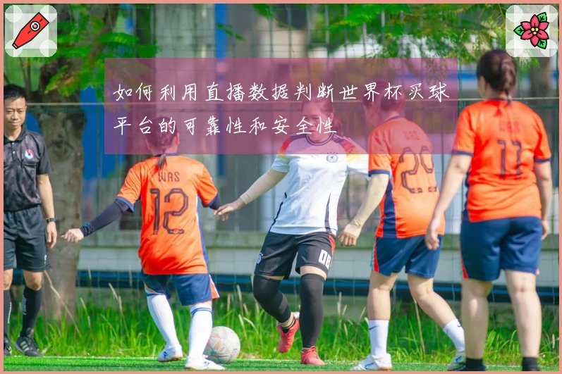 如何利用直播数据判断世界杯买球平台的可靠性和安全性
