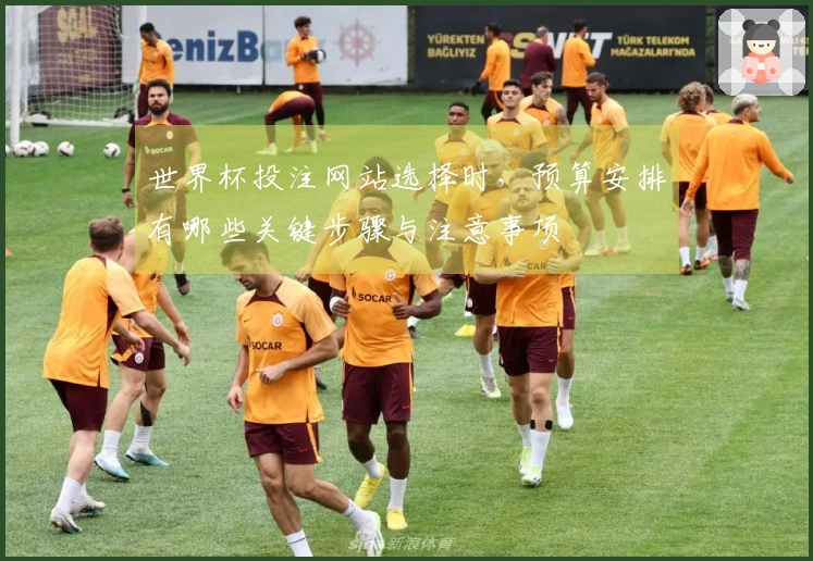 世界杯投注网站选择时，预算安排有哪些关键步骤与注意事项