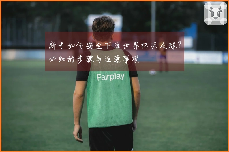 新手如何安全下注世界杯买足球？必知的步骤与注意事项