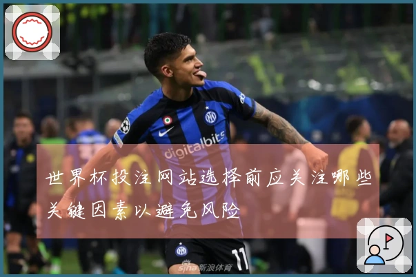 世界杯投注网站选择前应关注哪些关键因素以避免风险