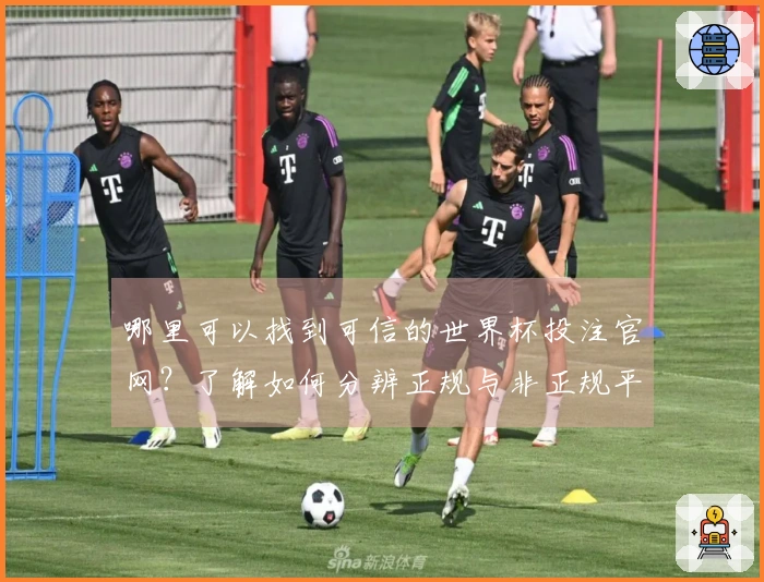 哪里可以找到可信的世界杯投注官网？了解如何分辨正规与非正规平台的要点