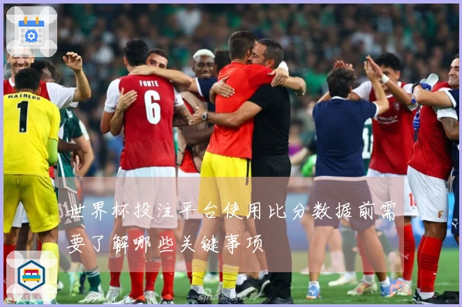 世界杯投注平台使用比分数据前需要了解哪些关键事项