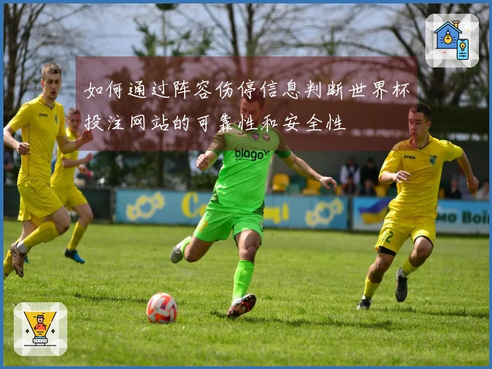 如何通过阵容伤停信息判断世界杯投注网站的可靠性和安全性