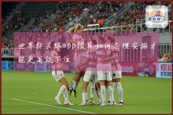 世界杯买球app预算如何合理安排才能更高效下注