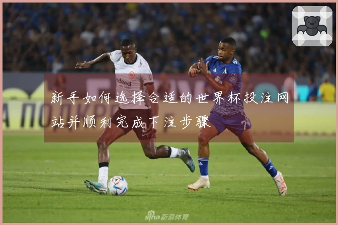 新手如何选择合适的世界杯投注网站并顺利完成下注步骤