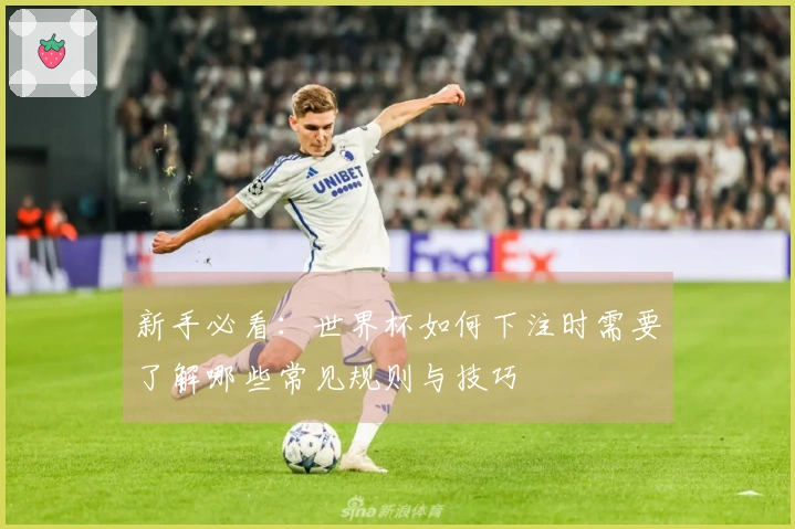 新手必看：世界杯如何下注时需要了解哪些常见规则与技巧