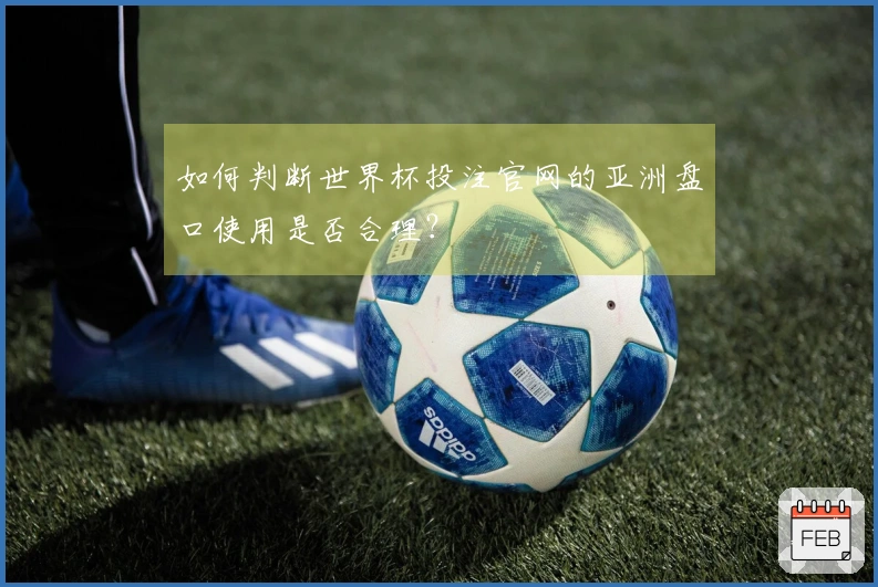 如何判断世界杯投注官网的亚洲盘口使用是否合理？