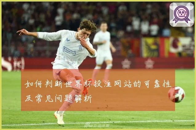 如何判断世界杯投注网站的可靠性及常见问题解析