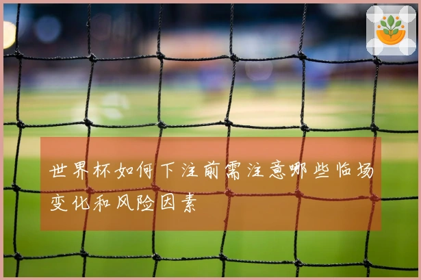 世界杯如何下注前需注意哪些临场变化和风险因素