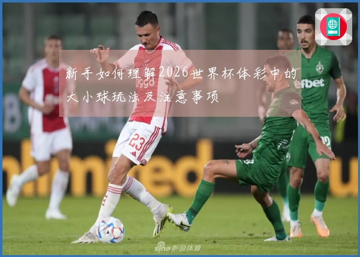 新手如何理解2026世界杯体彩中的大小球玩法及注意事项