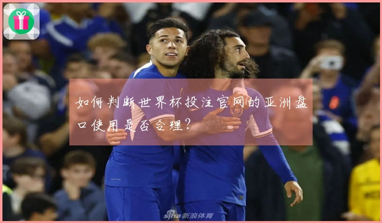 如何判断世界杯投注官网的亚洲盘口使用是否合理？