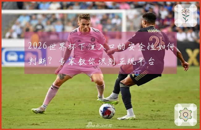 2026世界杯下注入口的安全性如何判断？专家教你识别正规平台
